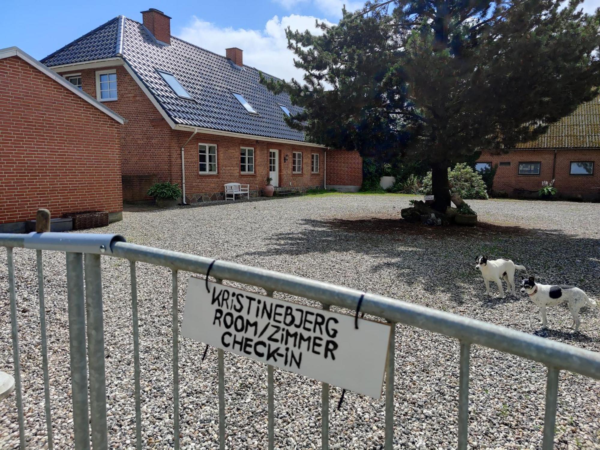 Appartamento Kristinebjerg Jelling Esterno foto